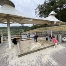 신성리 공룡발자국 이미지