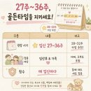 임신 29주 증상 초음파 백일해주사 임당산모 식단 혈당 기록