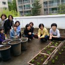 행당2동 주민센터 이미지