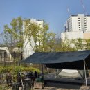 이마트24 은평진흥로점 | 서울 도심 캠핑 성지 은평구 앵봉산 가족캠핑장, D6 구역 솔직 리뷰