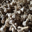 삼화농장2 이미지