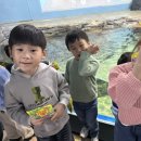 원중농장 네이버블로그