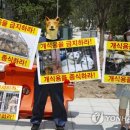 26meat 이미지