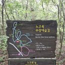 서귀포 치유의 숲 노고록 숲길 네이버블로그