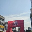 축제 | 2025 원주 만두축제 후기