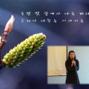 (주)이룸메디칼 이미지