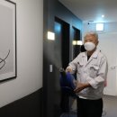 어반브라운 이미지