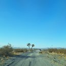 탑슬롯성인PC방 | [라스베가스] 2박 가족여행 (레드락 캐년 트레일, 리오호텔, 올유캔잇 스시집 후기)