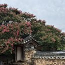 병산짬뽕