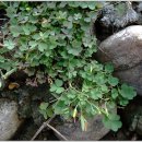 양영디지털고등학교 이미지