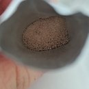 이거난 | ⭐ 아직도 효소 안 먹어? 난 이거 먹고 방귀 줄었다 (1년 실사용 후기)