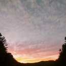 테일즈힐 이미지