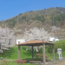 옥천 상계 체육시설 이미지