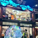 씨어터 송 | 성수 팝업 추천 러쉬 팝업 씨어터 〈무명배우의 욕실〉 LUSH YOUR MIND 후기