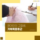 연세바른정형외과의원 이미지