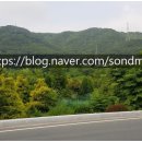 손덕문 공인중개사사무소 이미지