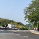 다와국수 이미지