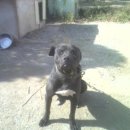 부광주유소 이미지