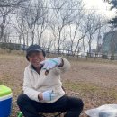 안면도마린오토캠핑장
