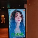 플리백(Fleabag) 후기 | 죄책감, 성장 그리고 우리