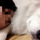 개편한까페 이미지