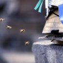 구담마을 이미지