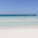 수영가든 이미지