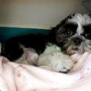 화랑유치원 이미지