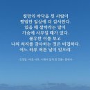 스타로미안연합의원 | 26년 1월 이야기, 24일은 구상나무 겨울눈이 햇살에 보석처럼 하얗게 반짝이는 것만 봐도 이제 추운...