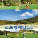 스프링베일리조트 이미지