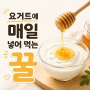 산내들농장 | 매일 먹는 꿀! 요거트에 딱 좋은 사양벌꿀 내돈내산 후기 🍯