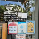 도그플러스 애견미용 이미지