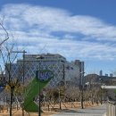 스카이라인루지부산 | 부산 기장 아이와 가볼 만한 곳 스카이라인루지 부산 주말 탑승 후기