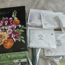 보태니컬 이미지