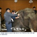 아시아물산 이미지