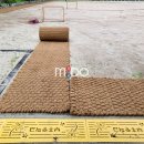 부흥중학교 이미지