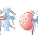 은빛사랑요양병원 이미지