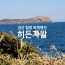 히든자왈 이미지