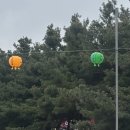 동강한의원 | 내 어릴 적 꿈은 7공주 합류하기