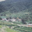 청풍호 감 이미지