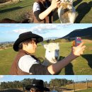 엠버농장 이미지