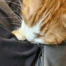 별이랑 놀자 이미지