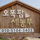 웅기농장 이미지