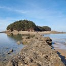 닭섬목장 이미지