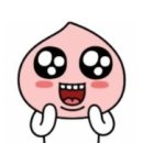 생활도자기(고급) 이미지