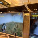 레드포스PC아레나 광주첨단점 이미지