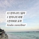 참새&허수아비 | [아프리카 신혼여행]#3.탄자니아 도착, 도착비자 발급, 잔지바르 파제, 택시 청년, zula zanzibar
