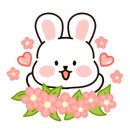 소담꽃 - 서초구 논현로13길 11 | 소담꽃