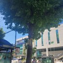 팔용동행정복지센터 앞 이미지