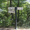 안면도자연휴양림 이미지